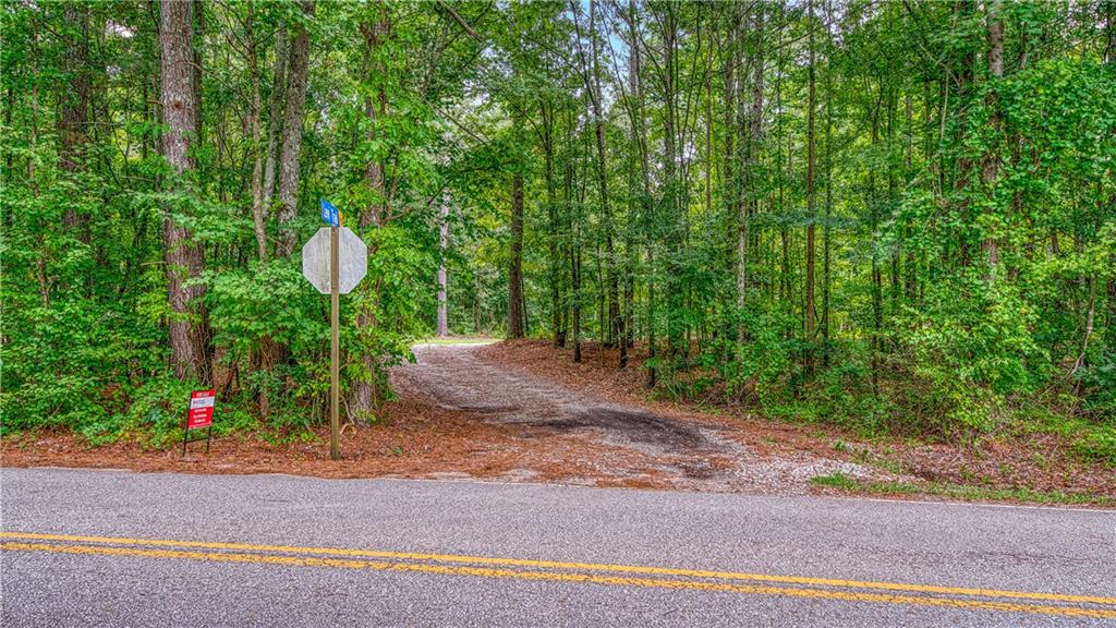 130 Levi Trail