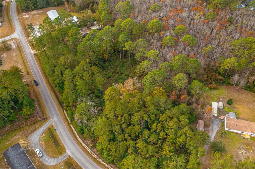 LOT 14 Poppell Farms Drive, Darien, Georgia image 2