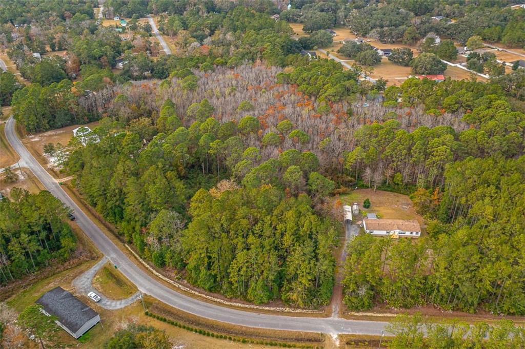 LOT 14 Poppell Farms Drive, Darien, Georgia image 1