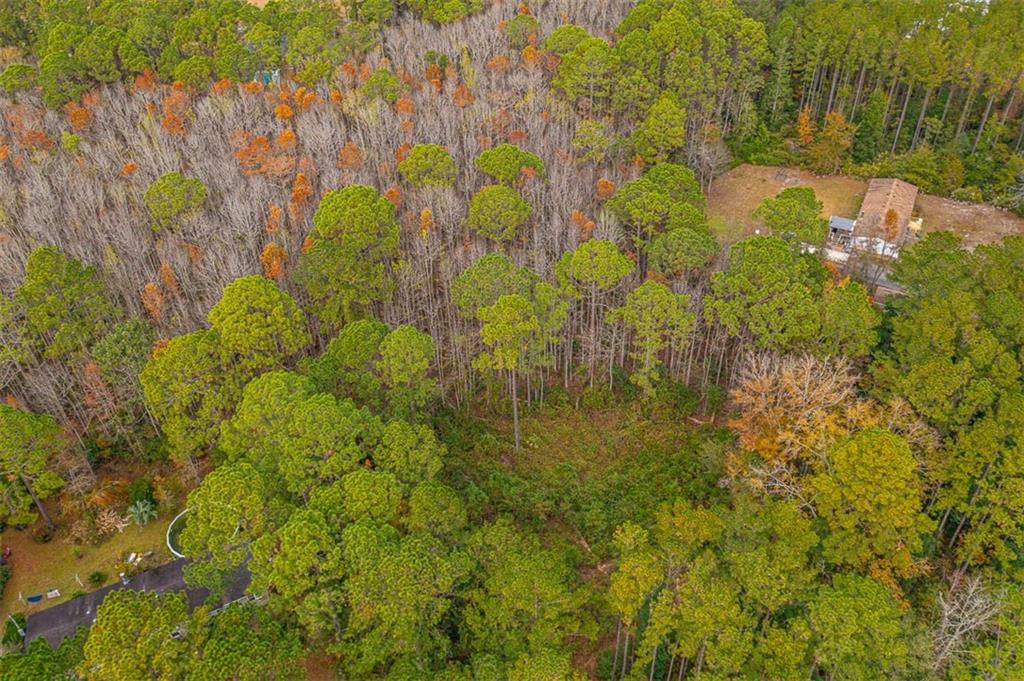 LOT 14 Poppell Farms Drive, Darien, Georgia image 6