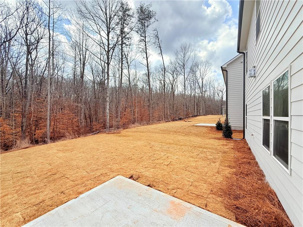 62 Mayfair Street, Dawsonville, Georgia image 29