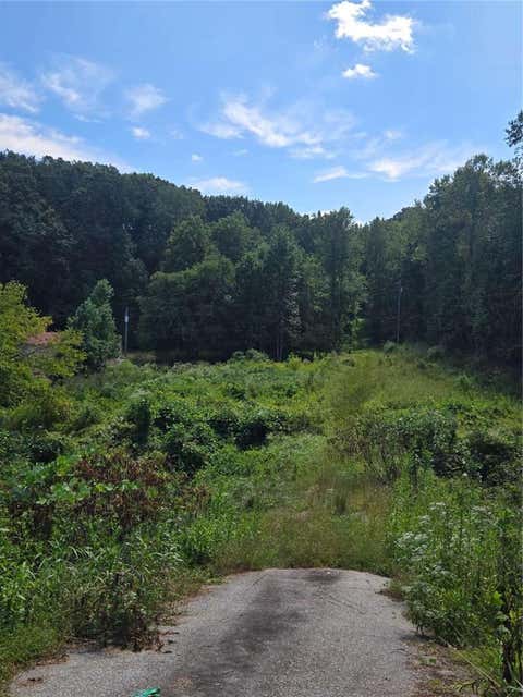 Vacant Land For Sale - Highway 115<br/> Cleveland, GA 30528