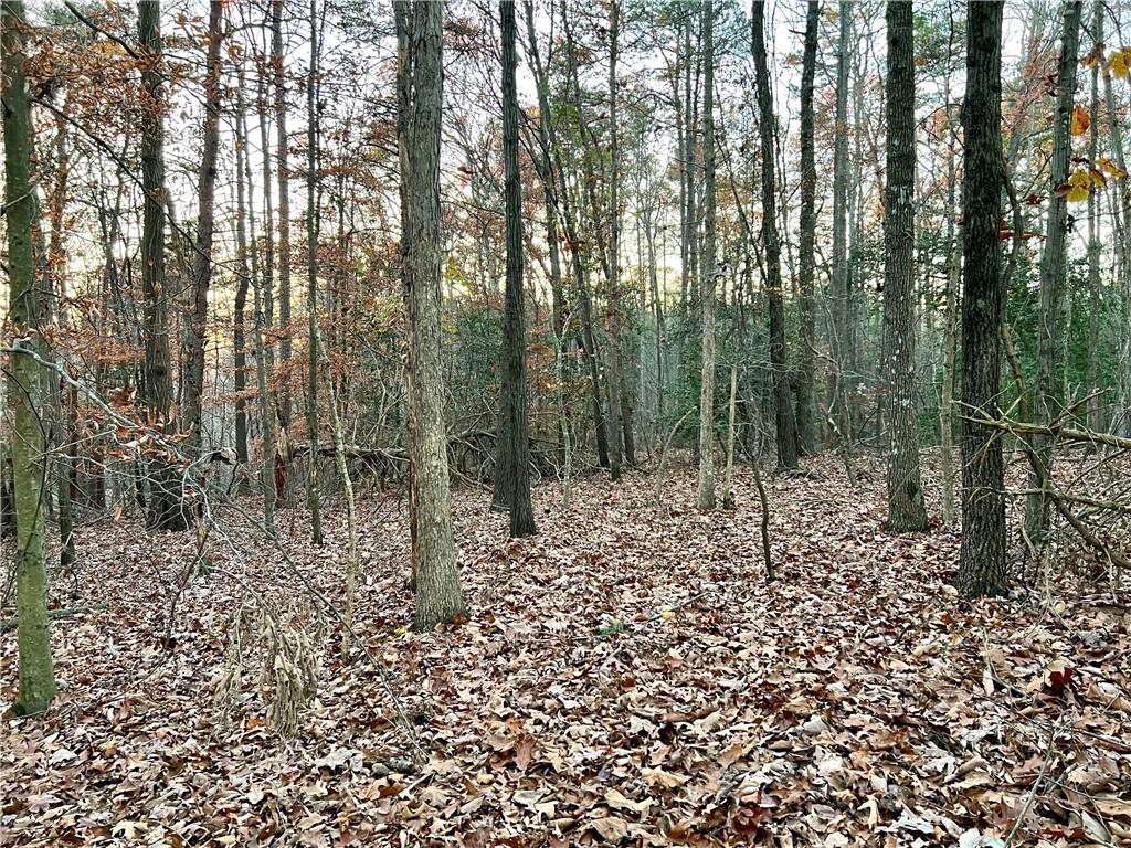 Pebble Creek #7 Lane, Alto, Georgia image 11