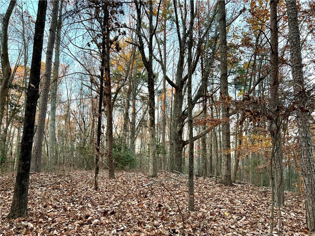 Pebble Creek #7 Lane, Alto, Georgia image 10