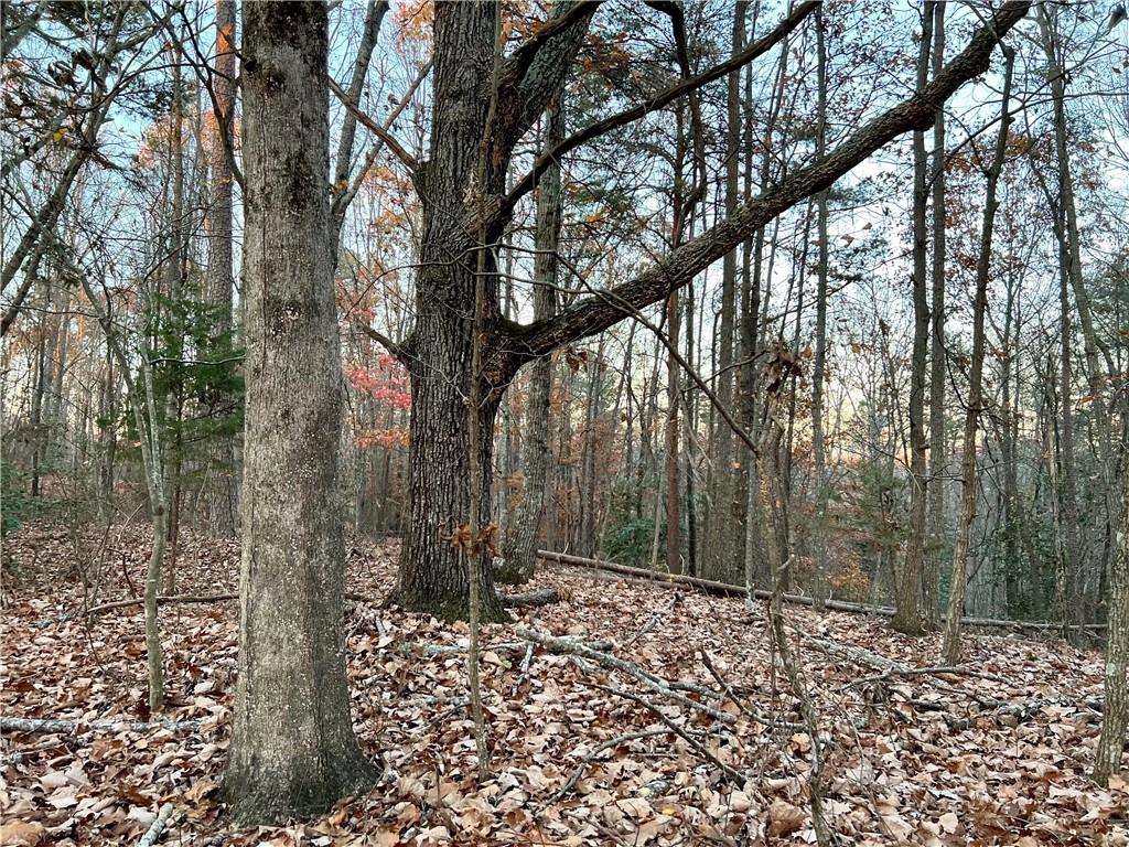 Pebble Creek #7 Lane, Alto, Georgia image 13