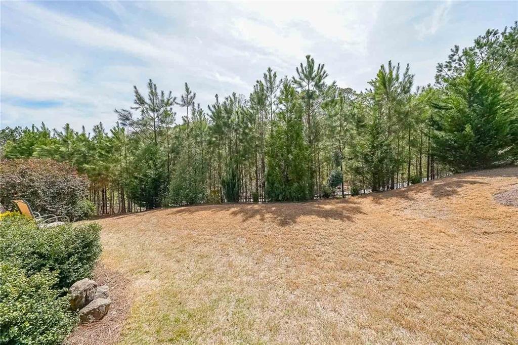 307 Serenity Way Way, Woodstock, Georgia image 24