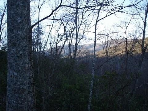 Vacant Land For Sale - 8182 Red Maple Lane<br/> Big Canoe, GA 30143