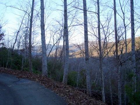 8182 Red Maple Lane