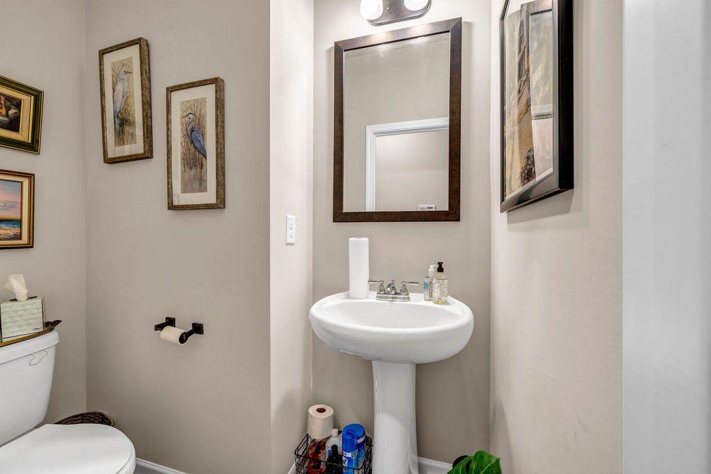 255 Skipjack Court, Covington, Georgia image 22