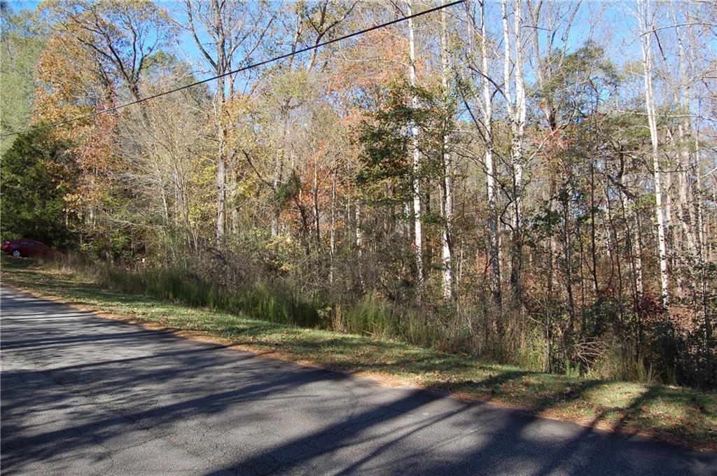 Mountain Laurel Drive, Mcdonough, Georgia image 6