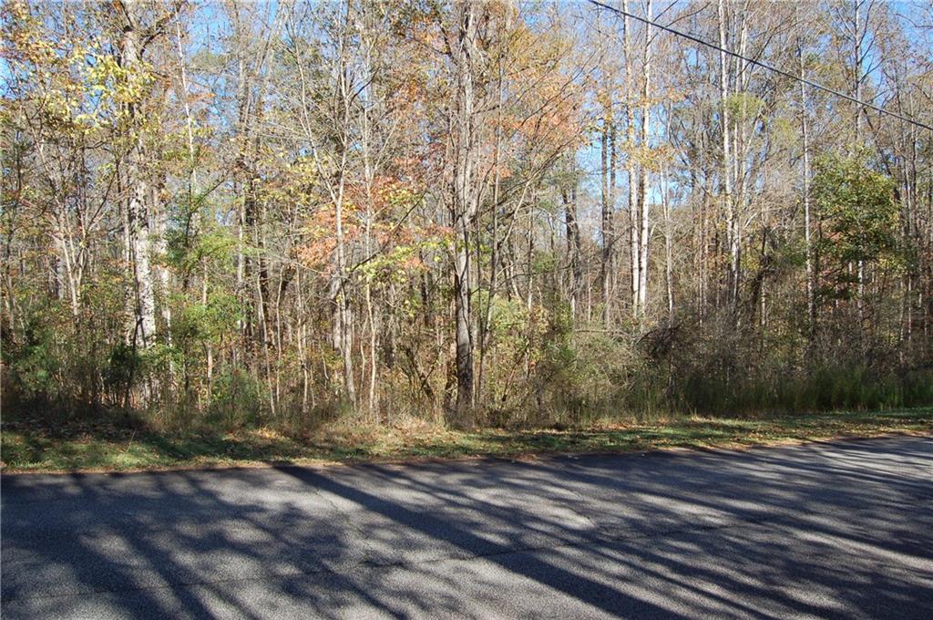 Mountain Laurel Drive, Mcdonough, Georgia image 5