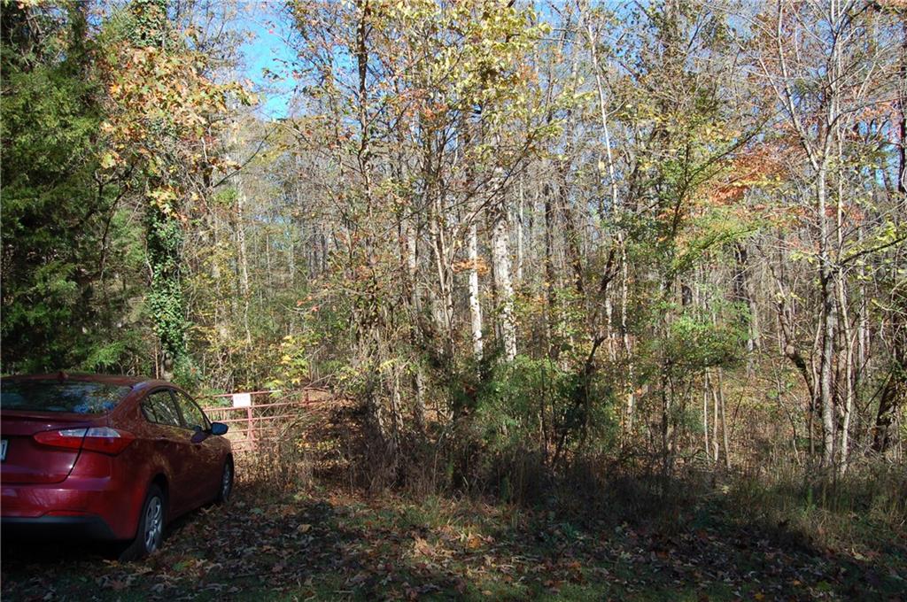 Mountain Laurel Drive, Mcdonough, Georgia image 1