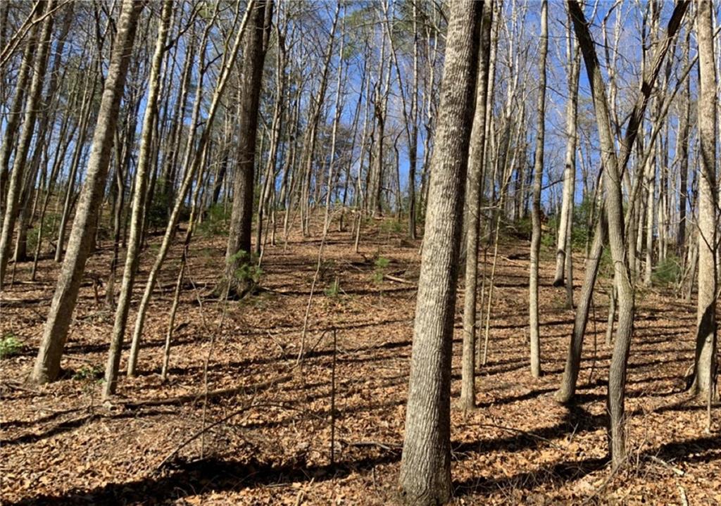 This exceptional .75-acre lot nestled in a serene cul-de-sac offers unparalleled privacy, making it the perfect canvas for your dream cabin or forever home. Located in a desirable golf course community, enjoy the best of both worlds – tranquility and recreation await! Don't miss this opportunity to create your own sanctuary in Ellijay and own a slice of paradise.