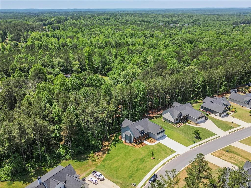 85 Presley Farm Parkway, Rockmart, Georgia image 45