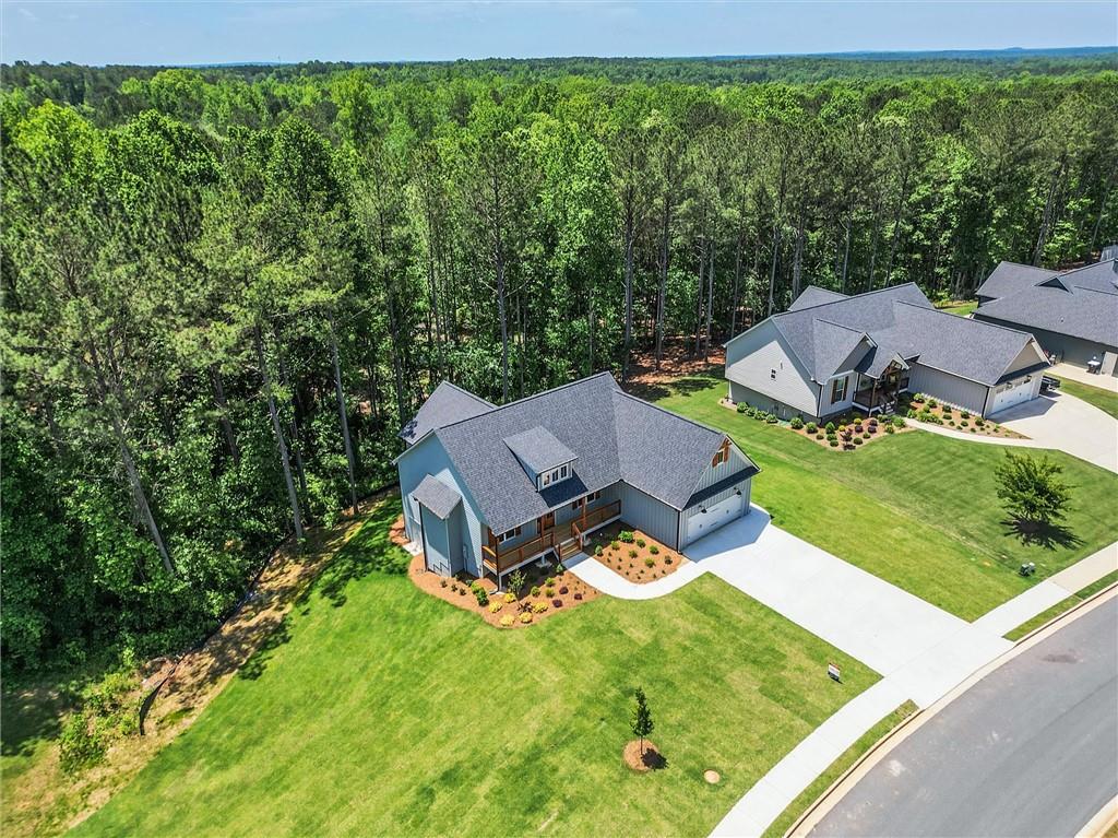 85 Presley Farm Parkway, Rockmart, Georgia image 43