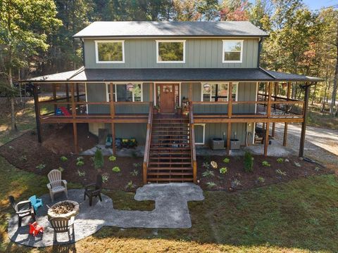35 Indian Trace Mineral Bluff GA 30559