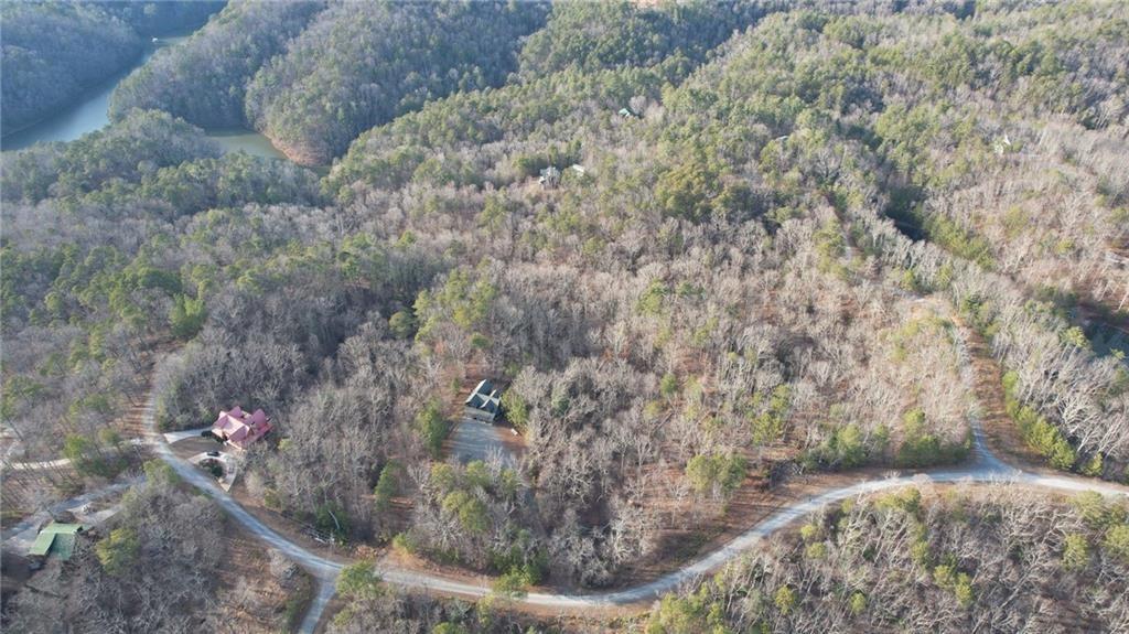 314 Lake Forest Lot 45 Drive, Ellijay, Georgia image 8