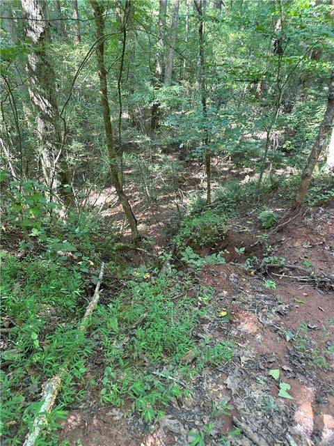 2470 Fears Road Good Hope GA 30650
