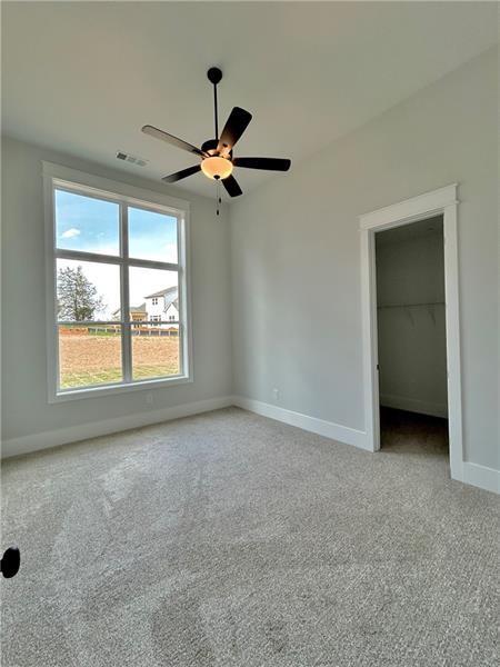 115 Palisade Drive, Rydal, Georgia image 19