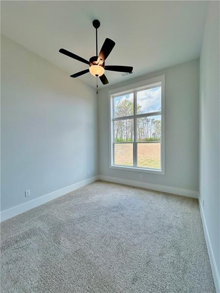 115 Palisade Drive, Rydal, Georgia image 20