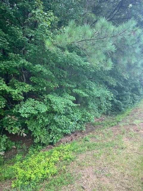 3533 McEver Road Gainesville GA 30504