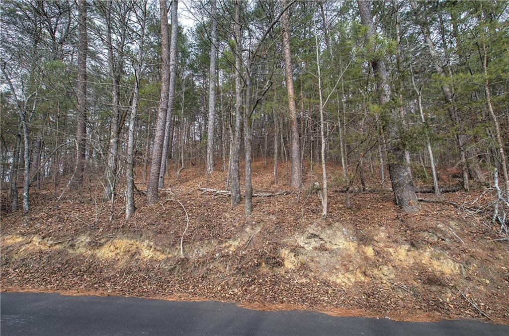 00 Manning Mill Road