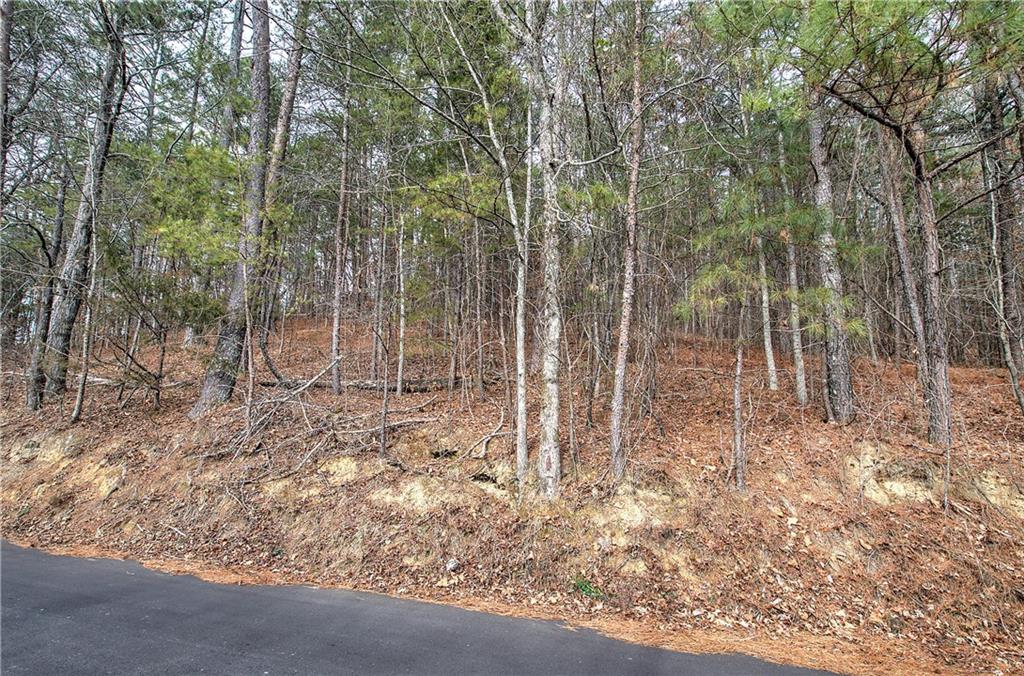 00 Manning Mill Road