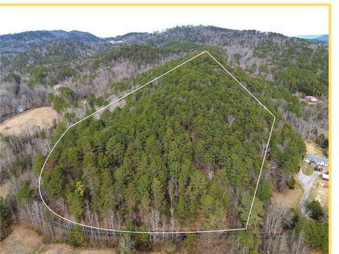 Vacant Land For Sale - 00 Manning Mill Road<br/> Walker County, Summerville, GA 30747