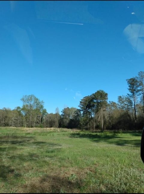 Vacant Land For Sale - Zenith Mill Road<br/> Roberta, GA 31078