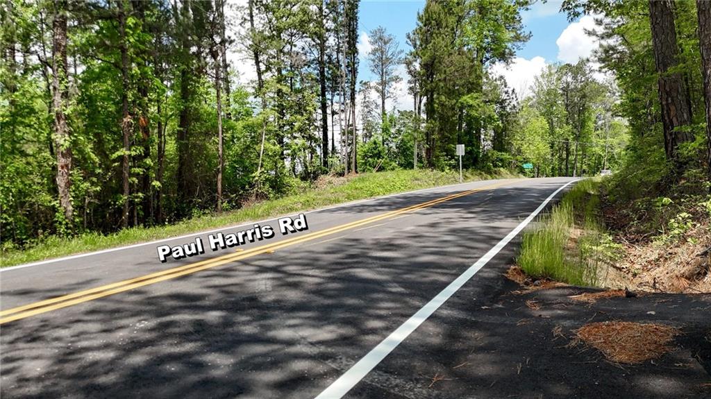 51 Paul Harris Road, Dallas, Georgia image 24