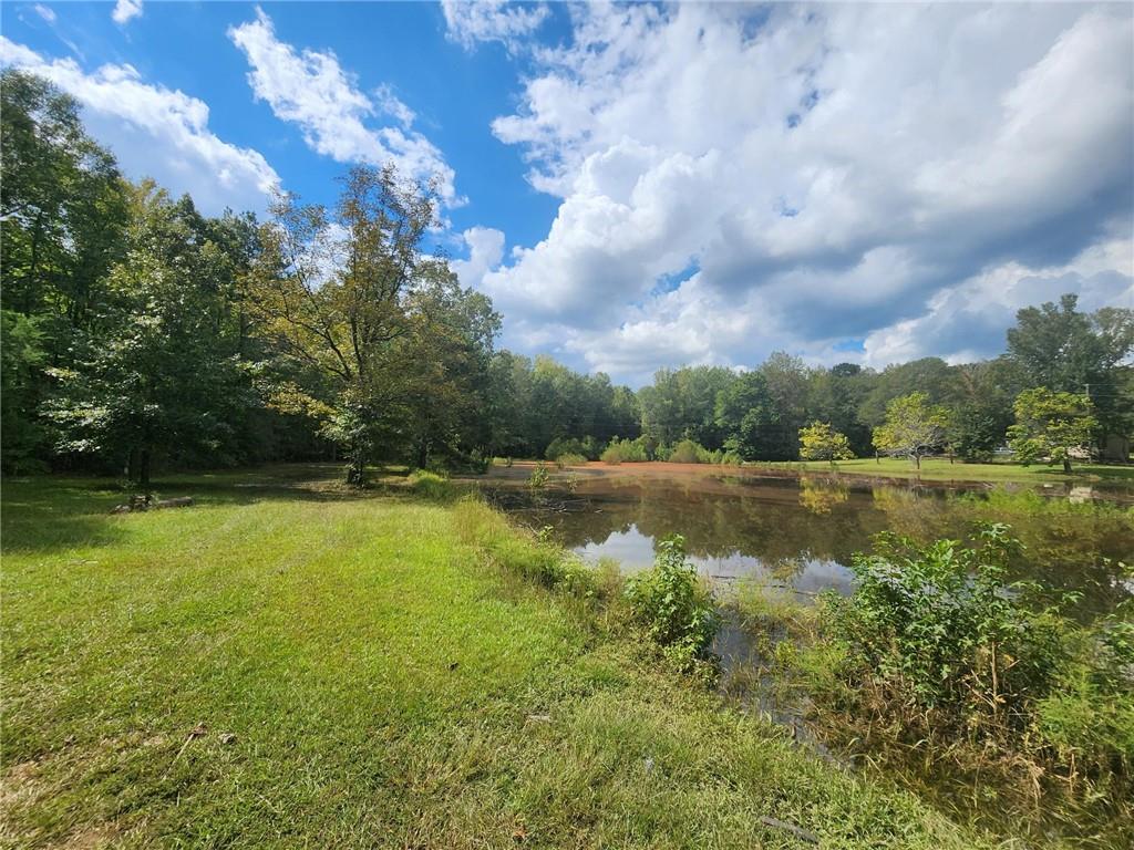 Williams Mill Road, Zebulon, Georgia image 6