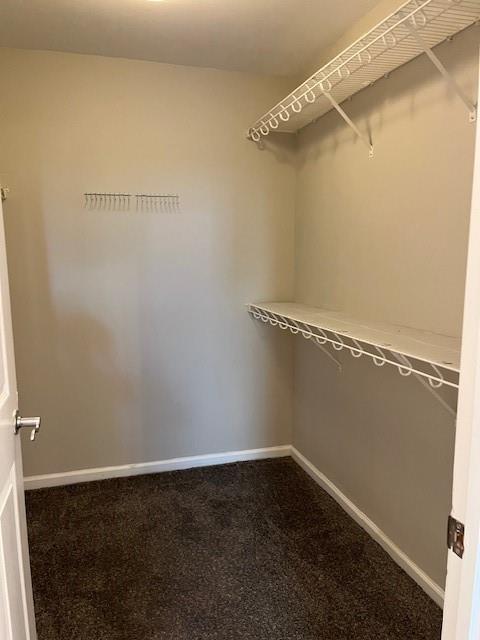 220 Rehobeth Way Way, Fayetteville, Georgia image 15