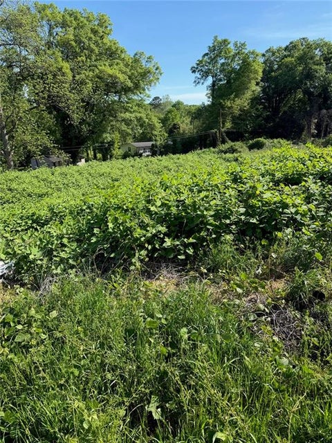 Vacant Land For Sale - 121 Mcconnell Drive<br/> Hall County, Gainesville, GA 30501