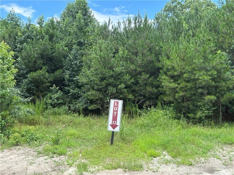 Vacant Land For Sale - Hamilton Road<br/> Fulton County, Chattahoochee Hills, GA 30268