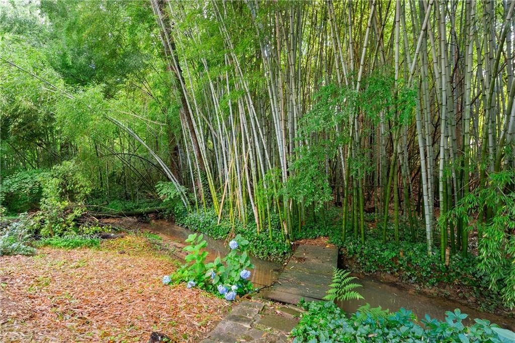 Cayuga Forrest - Residential
