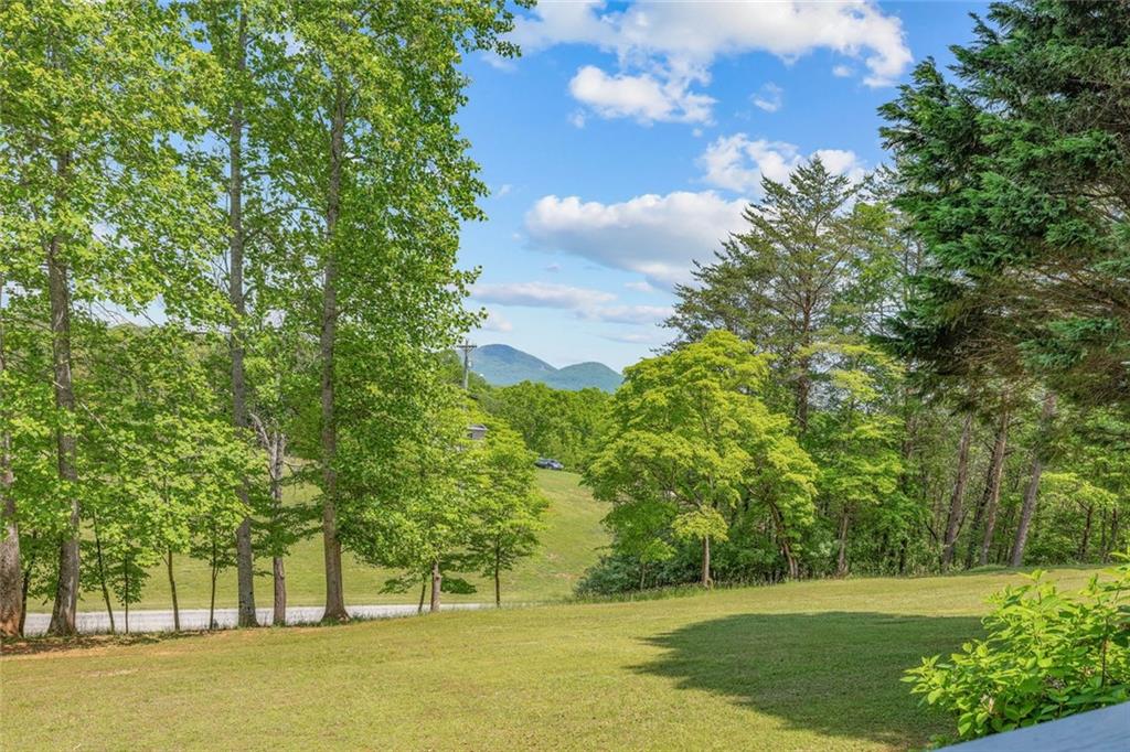 303 Jennys Cove Road, Cleveland, Georgia image 8