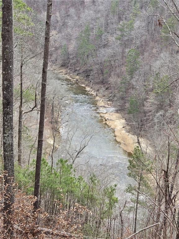 Blalock Mountain Road, Talking Rock, Georgia image 21