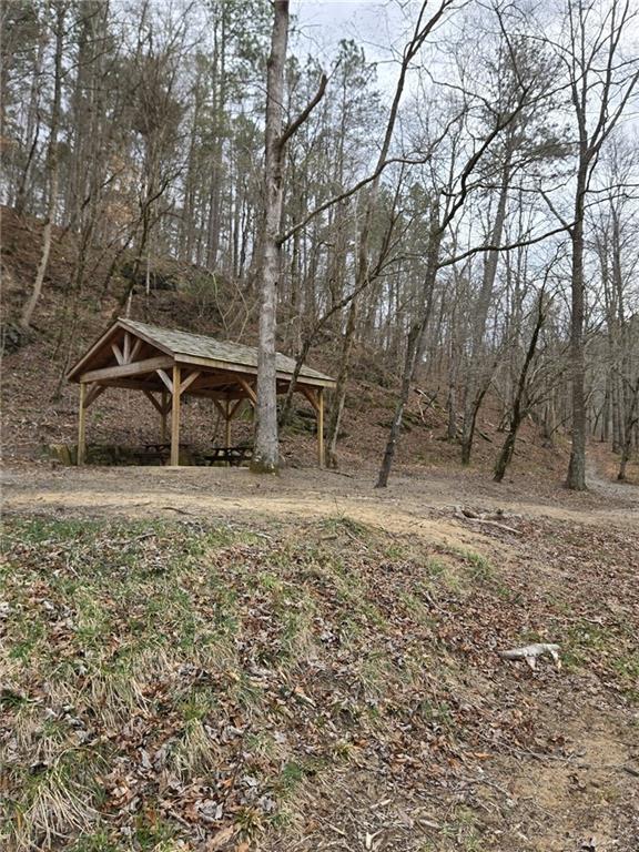 Blalock Mountain Road, Talking Rock, Georgia image 19