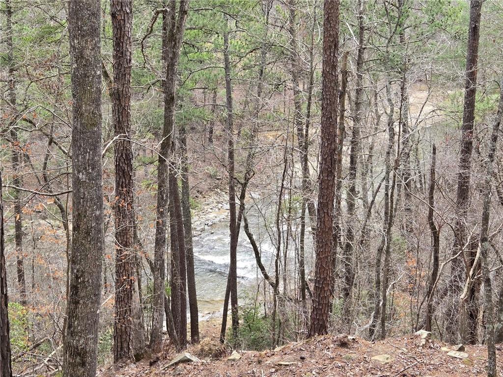 Blalock Mountain Road, Talking Rock, Georgia image 22