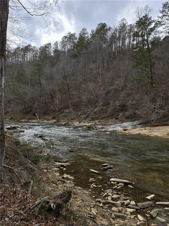Blalock Mountain Road, Talking Rock, Georgia image 18