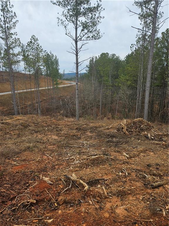 Blalock Mountain Rd, Talking Rock, Georgia image 4