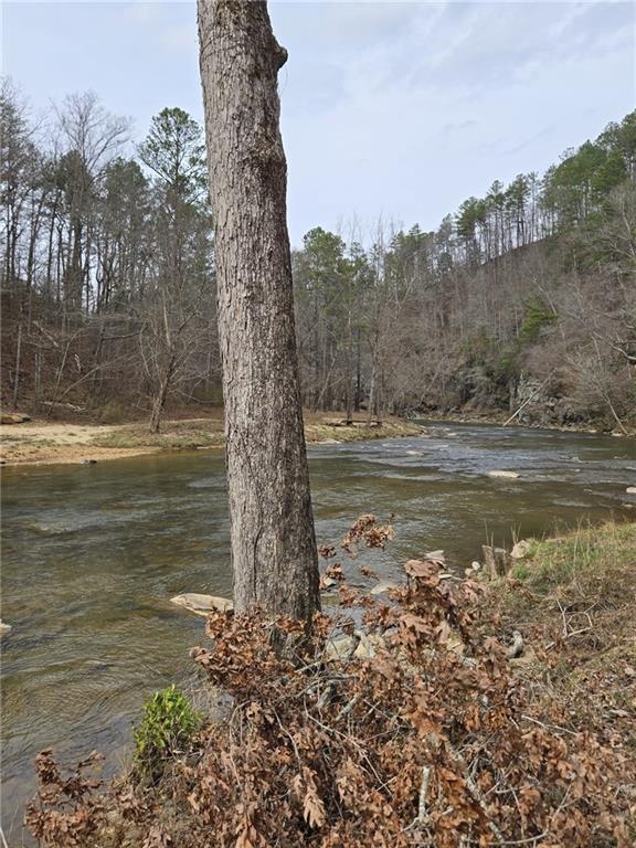 Blalock Mountain Road, Talking Rock, Georgia image 17