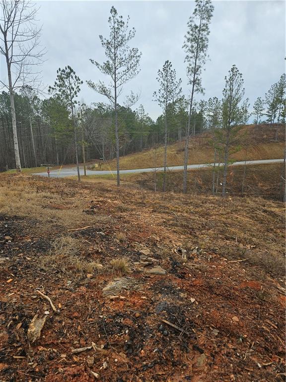 Blalock Mountain Rd, Talking Rock, Georgia image 5