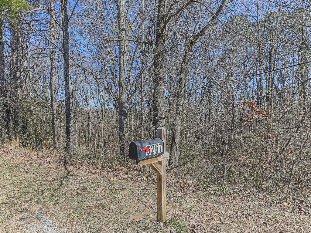 6267 Mount Pisgah Road, Ellijay, Georgia image 30