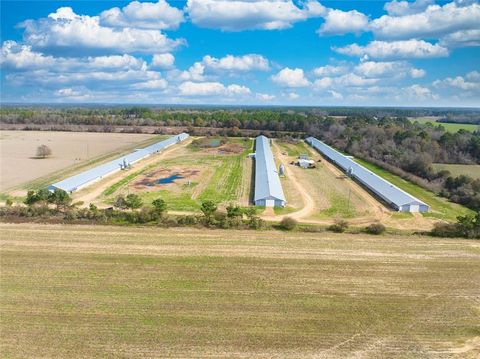 Vacant Land For Sale - 441 Weaver Road<br/> Colquitt County, Moultrie, GA 31768