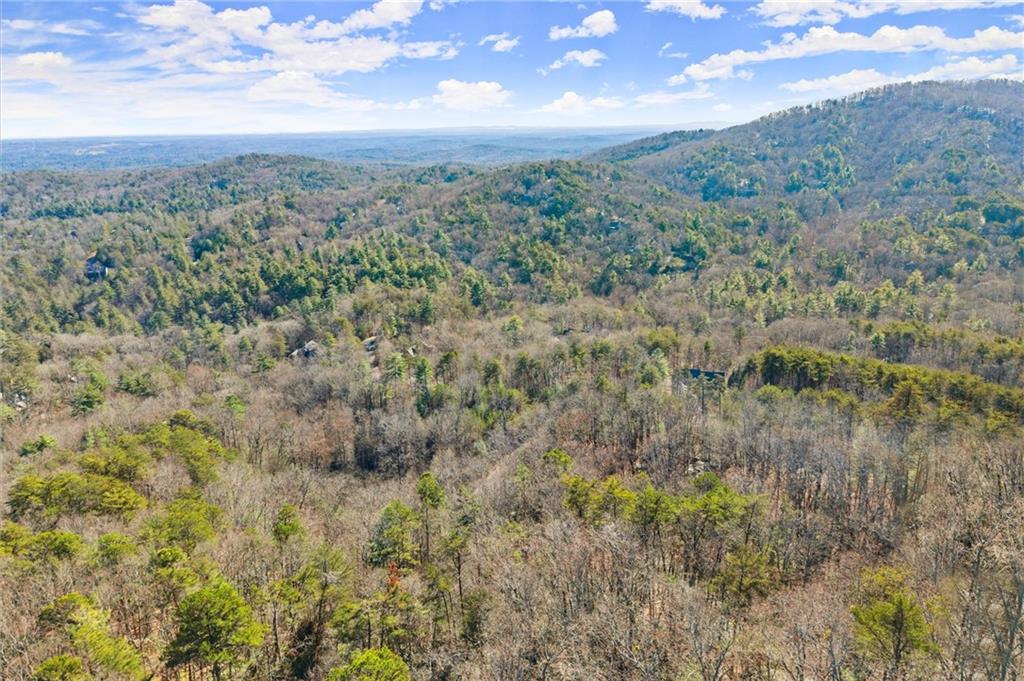 1001 Black Bear Trail