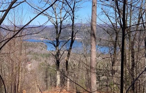 Vacant Land For Sale - 325 Adair Drive<br/> Ranger, GA 30734