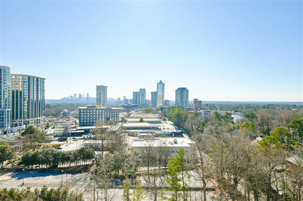 3040 Peachtree Road #1010, Atlanta, Georgia image 26