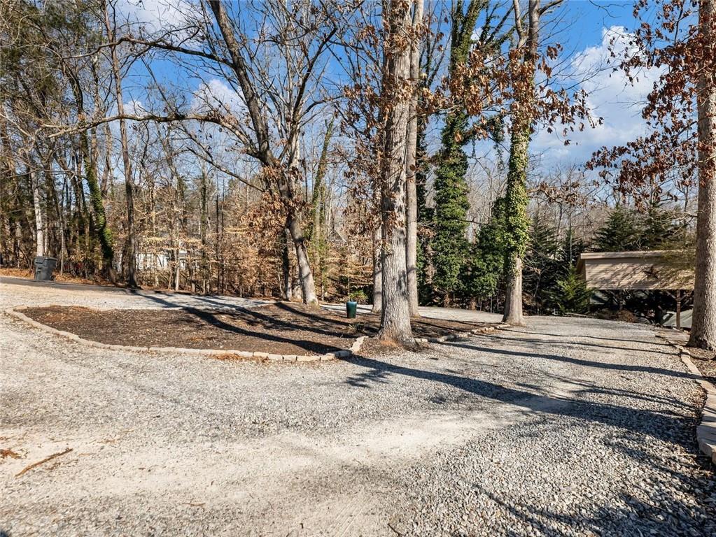 45 Lakepoint Drive, Dawsonville, Georgia image 49