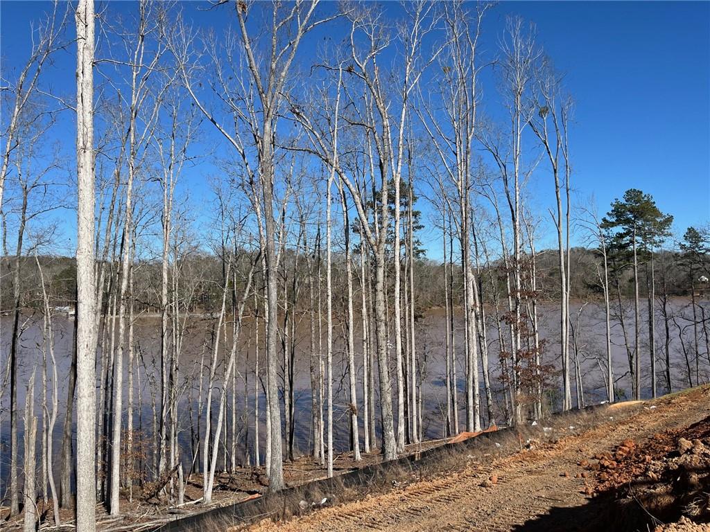 47 Cedar Creek Drive, Dawsonville, Georgia image 1